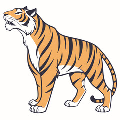 Orange tiger with black stripes standing white