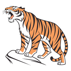 Fierce tiger roaring on rock wild animal predator