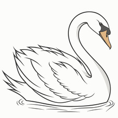 Elegant white swan swimming gracefully bird water