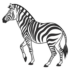 Striped equine walking on white zebra animal