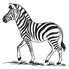 Striped equine walking through grass zebra animal