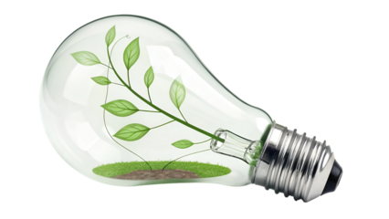 Eco friendly light bulb with plant growing inside concept for sustainable energy solutions idea design