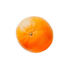 fruit isolated on white background