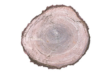 Cement Texture Resembling Wood Grain Pattern