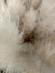 Soft Fluffy White Texture Creating an Abstract and Dreamy Background