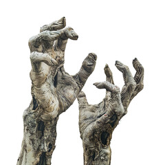 Creepy decaying zombie hands reaching out from the ground isolated on transparent background