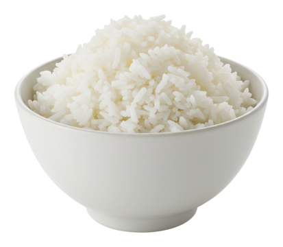 白い器に盛られたふっくらご飯