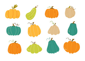 Autumn set, hand drawn  pumpkins ,  Perfect for web, card, poster, cover, tag, invitation, sticker kit. Vector illustration
