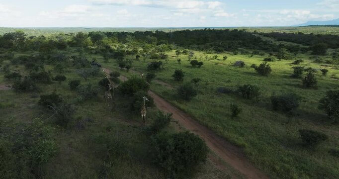 Aerial view of Balule Nature Reserve, Maruleng, South Africa.