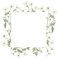 Camomile floral summer arrangement. Invitation template card