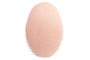 Close-up of a human fingerprint isolated on a transparent background, for security.