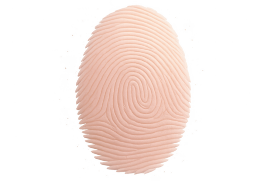 Close-up of a human fingerprint isolated on a transparent background, for security.