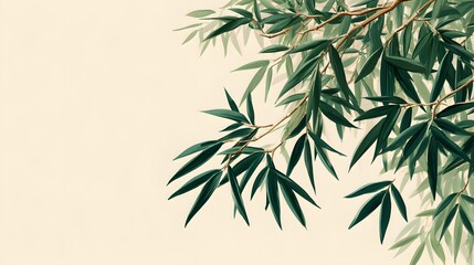 bamboo background vector illustration
