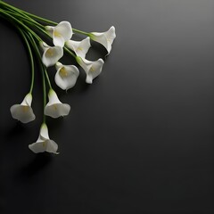 White Calla Lilies Bunch - Elegant Floral Arrangement, Dark Background, Minimalist Botanical Art, Purity, Sympathy Flowers, Wedding Decor