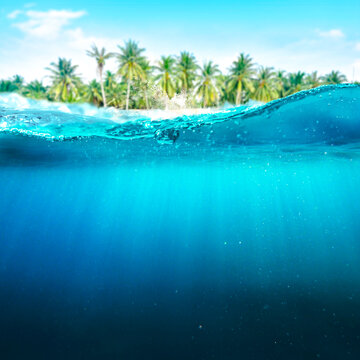 Split view of turquoise tropical ocean water with splash, sunrays underwater, and palm trees on the shore. Bright, sunny summer vacation concept.