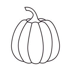 Outline Pumpkin. Autumn pumpkin element.