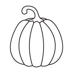 Outline Pumpkin. Autumn pumpkin element.
