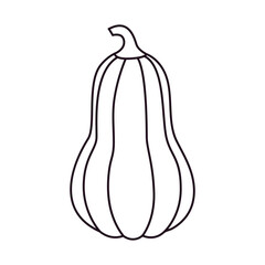 Outline Pumpkin. Autumn pumpkin element.