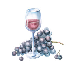 Glass of red wine and bunch of grapes. Isolated watercolor illustration for bar menu design, restaurant interior, printing on alcoholic products, printing on textiles.