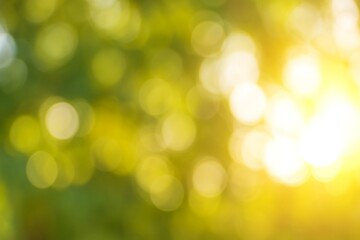 Obraz premium Sunlight filtering through green leaves creates a warm, natural bokeh effect. A soft, summery background with gentle light spots and a tranquil atmosphere. 