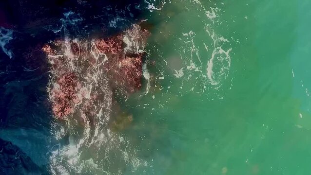 Algae bloom spreads through sea waves along Kanyakumari coast