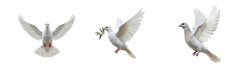 Three graceful white doves in flight against a pure white background convey peace and serenity, ideal for spiritual or symbolic designs.