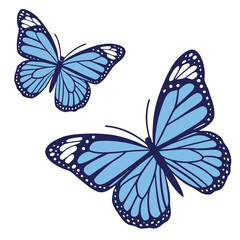 Two Light Blue Butterflies White Background Vector Illustration