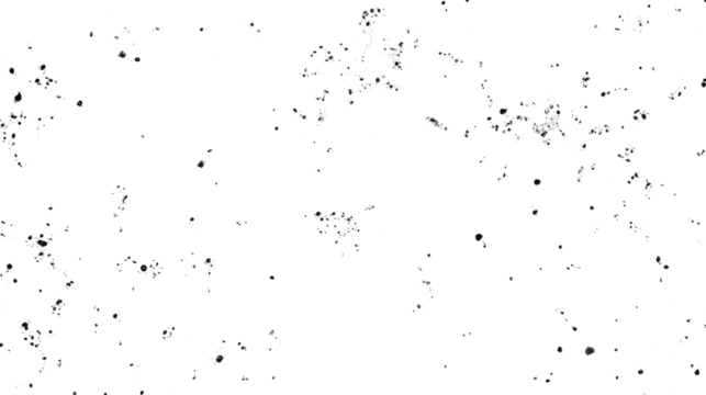 White and black grainy texture with dust effect isolated on white background

