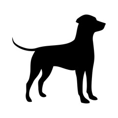 black silhouette of a dog