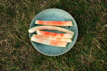 Top-view of several watermelon peels neatly arranged on a green plate on grass. High quality photo