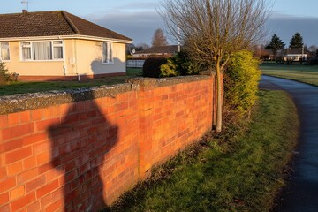 Brick wall casts long shadow at suburban sunrise