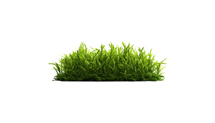 A vibrant strip of lush green grass, neatly trimmed and healthy, perfect for natural borders or ground cover png
