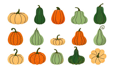 Pumpkin set. Autumn stylized pumpkin.