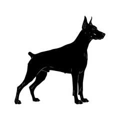 black silhouette of a dog