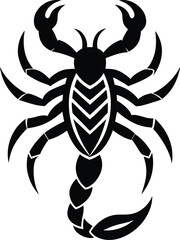 Spider Silhouette with Body Markings


