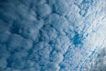 Nature background of sky with blue clouds on sunset. Beautiful cloud above dramatic blue sunset sky.