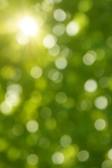 Obraz premium Sunlight filtering through green leaves creates soft bokeh highlights and natural light spots, evoking a warm and peaceful summer atmosphere.