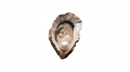 Open oyster shell, pearl inside