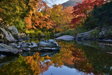 嵐山（らんざん）渓谷の紅葉