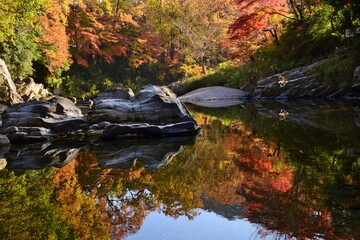 嵐山（らんざん）渓谷の紅葉