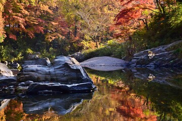 嵐山（らんざん）渓谷の紅葉