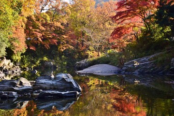嵐山（らんざん）渓谷の紅葉