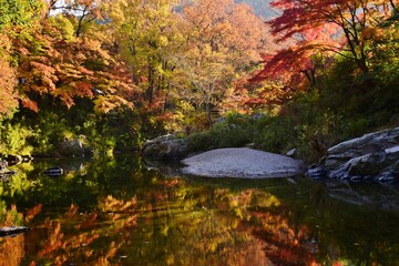 嵐山（らんざん）渓谷の紅葉
