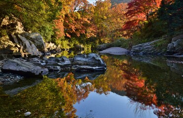 嵐山（らんざん）渓谷の紅葉