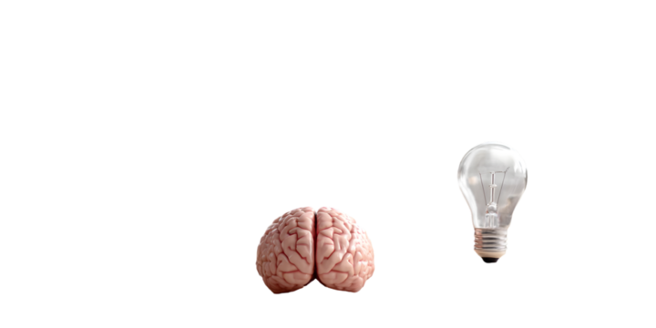 Human brain and lightbulb isolated on transparent background