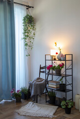 cozy home interior with books and houseplants