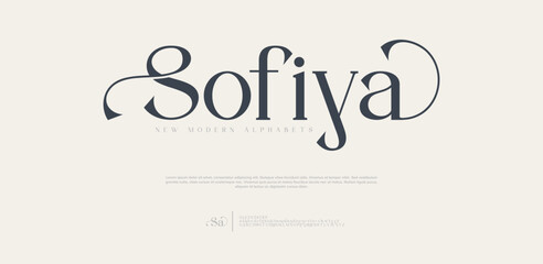 Elegant Font, aesthetic, Uppercase Lowercase and Number. wedding font, Classic Lettering Minimal Fashion Designs. Typography modern serif fonts regular decorative vintage concept. vector illustration 