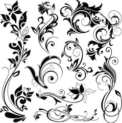 black and white floral background