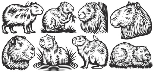 Featuring six vintage monochrome designs of capybaras in various poses, including swimming, eating, and resting alongside a small bird in their natural habitat