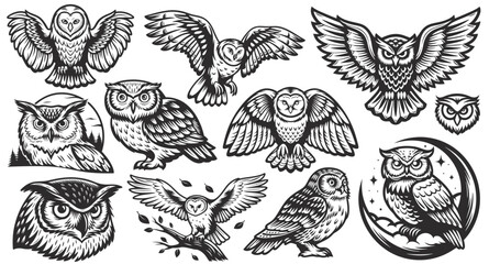 Set of owl clipart images featuring various poses, including owls perched on branches, in flight, and with outstretched wings, offering diverse design elements for creative projects